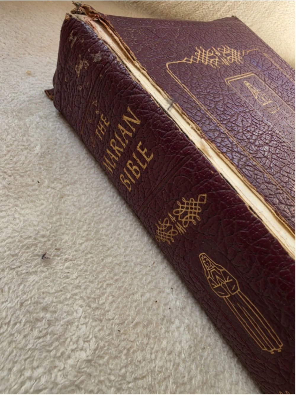 Vintage 1953 Family Rosary Edition Holy Bible - Catholic Press, Rev. O'Connell
